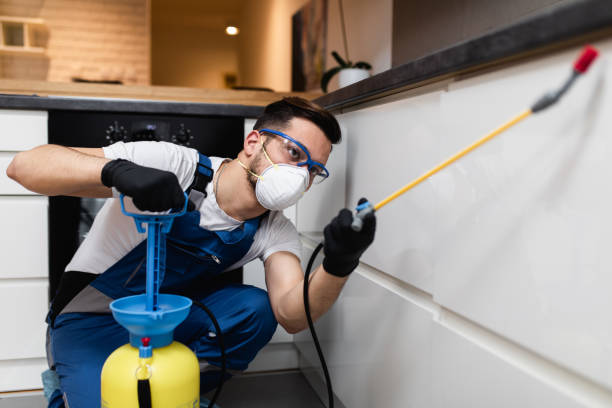 Best Mosquito Control Services  in Martinsvle, IL