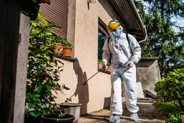 Best Commercial Pest Control Services  in Martinsvle, IL
