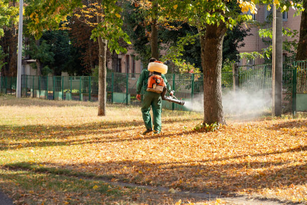 Best Pest Prevention Services  in Martinsvle, IL
