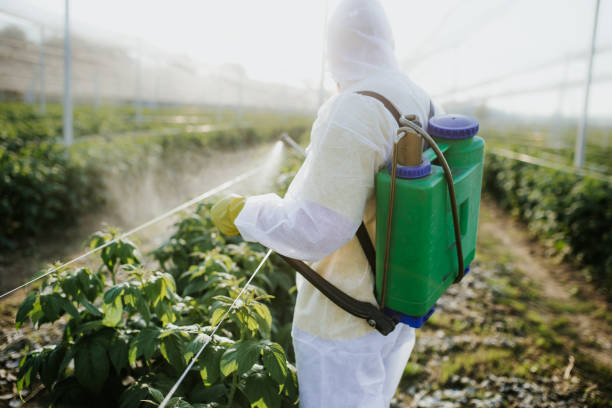Martinsville, IL Pest Control Company